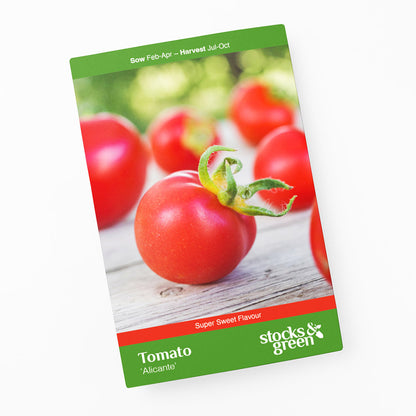 Tomato 'Alicante' Seeds