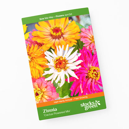 Zinnia Cactus Flowered Mix - Seeds