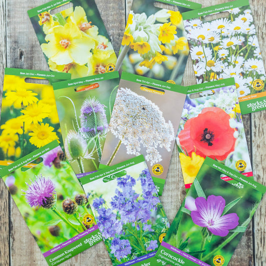 Wildflower Seed Collection