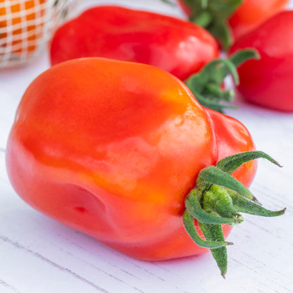 Tomato 'San Marzano' Seeds