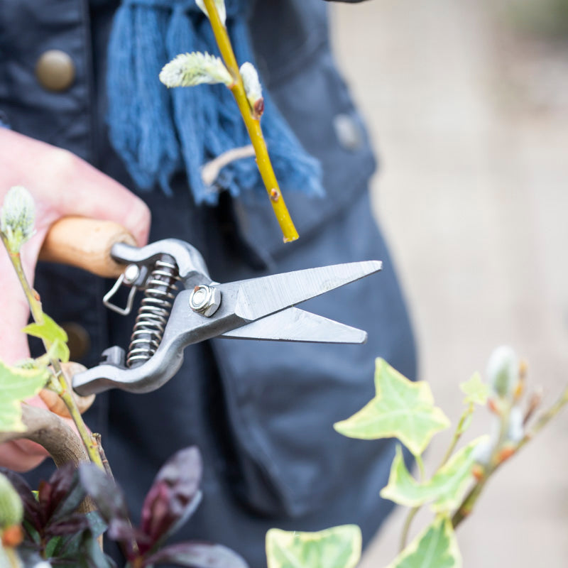 Flower Scissors Stocks Green