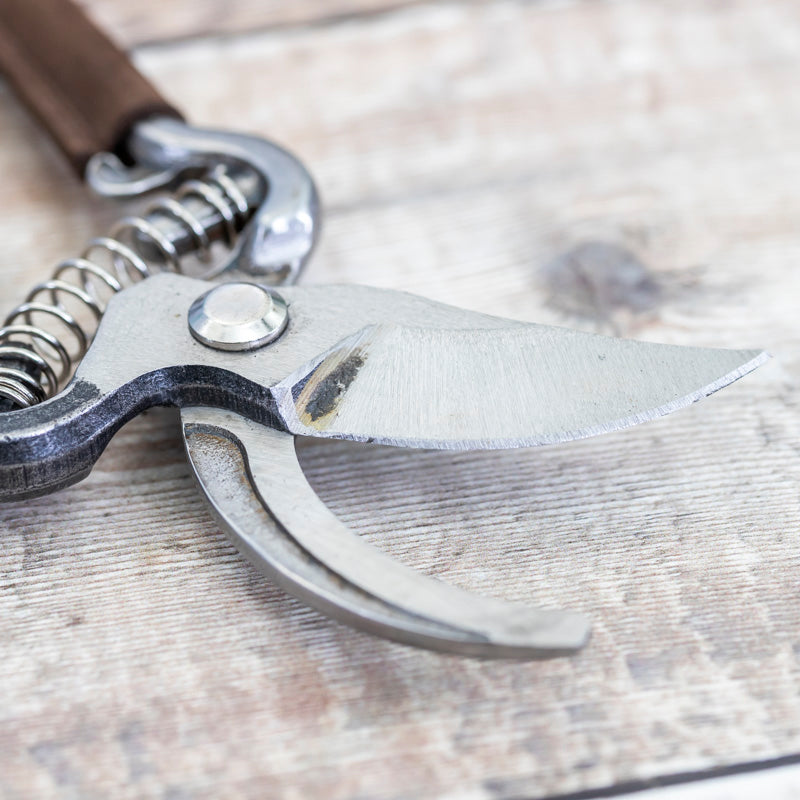 Leather Handle Secateurs