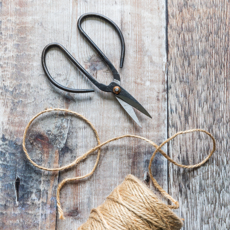 Deadheading scissors outlet